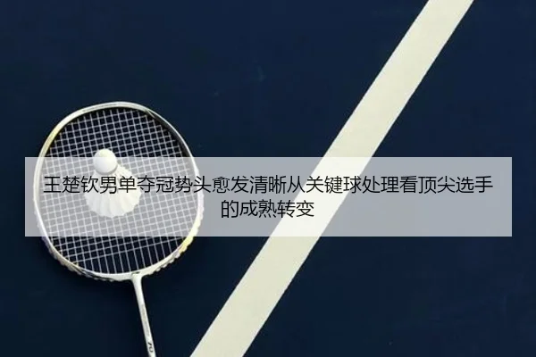王楚钦男单夺冠势头愈发清晰从关键球处理看顶尖选手的成熟转变（kaiyun）